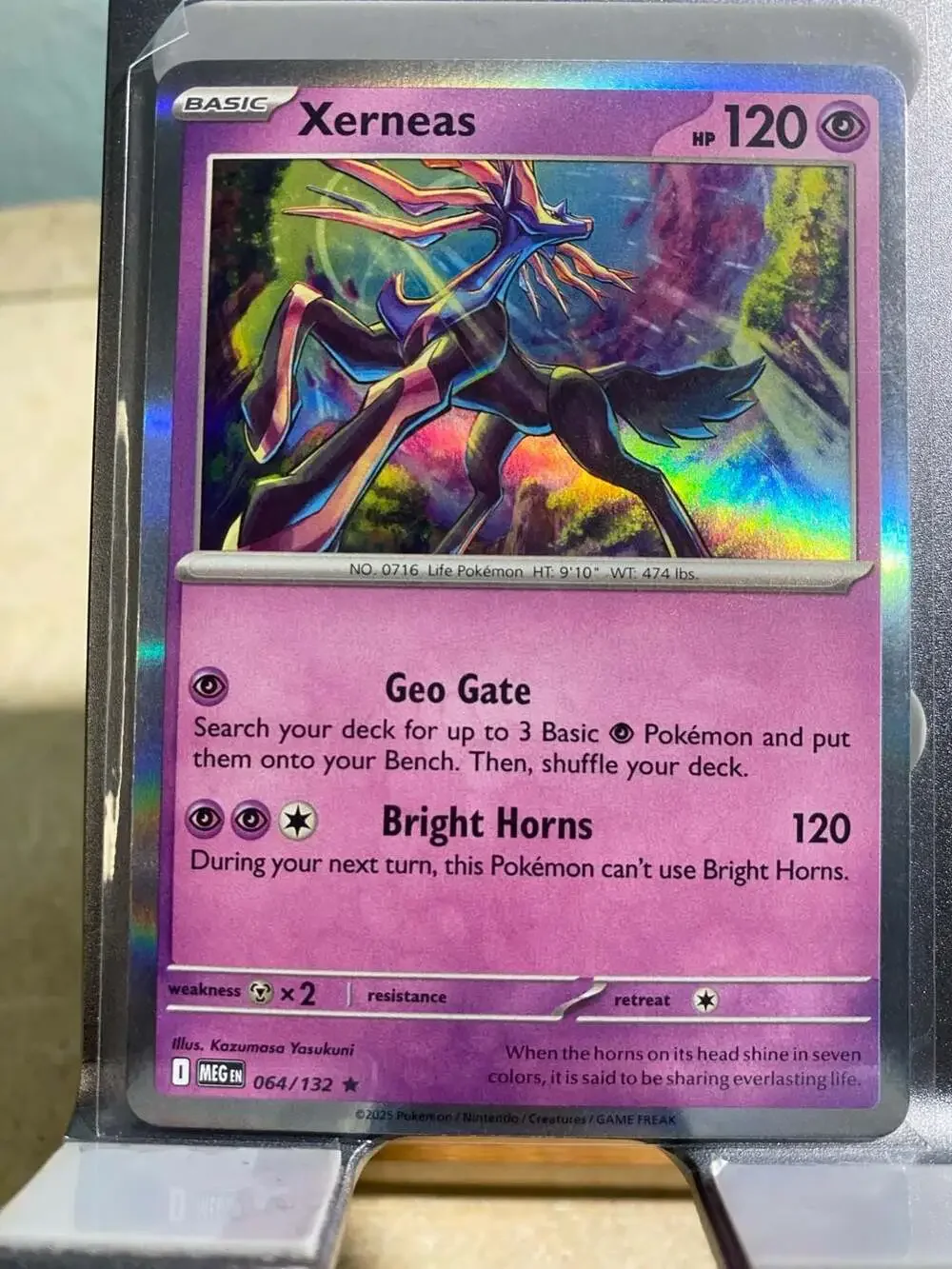 Xerneas 064/132 Holo Rare Mega Evolution - Pokemon TCG - Pack Fresh Near Mint NM